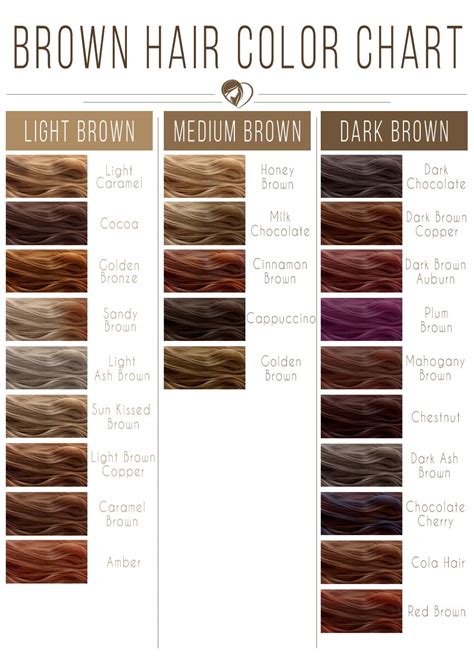 brunette light hair|brunette brown hair color chart.